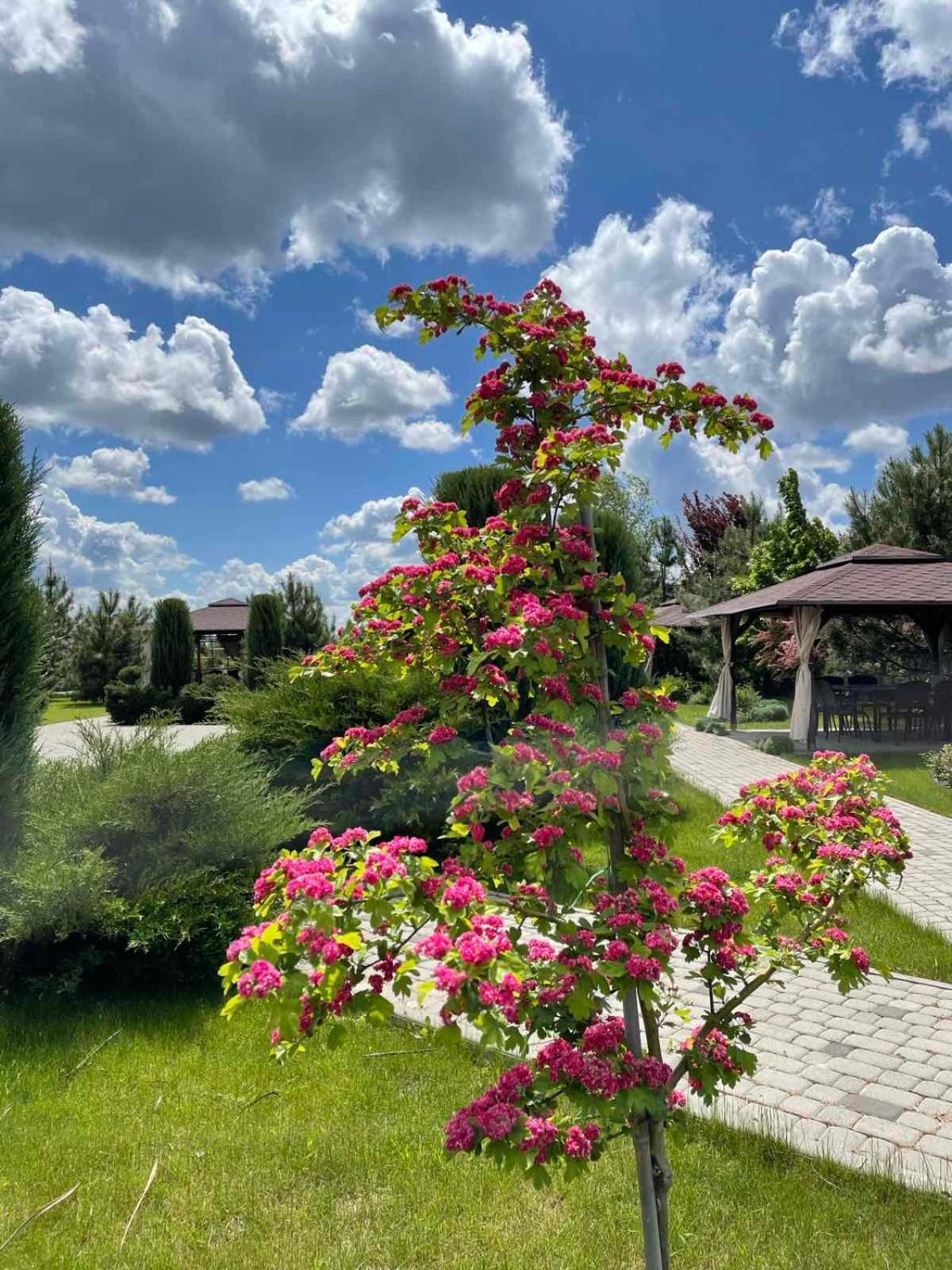 Ostrov River Club Novoselovka  Exterior photo